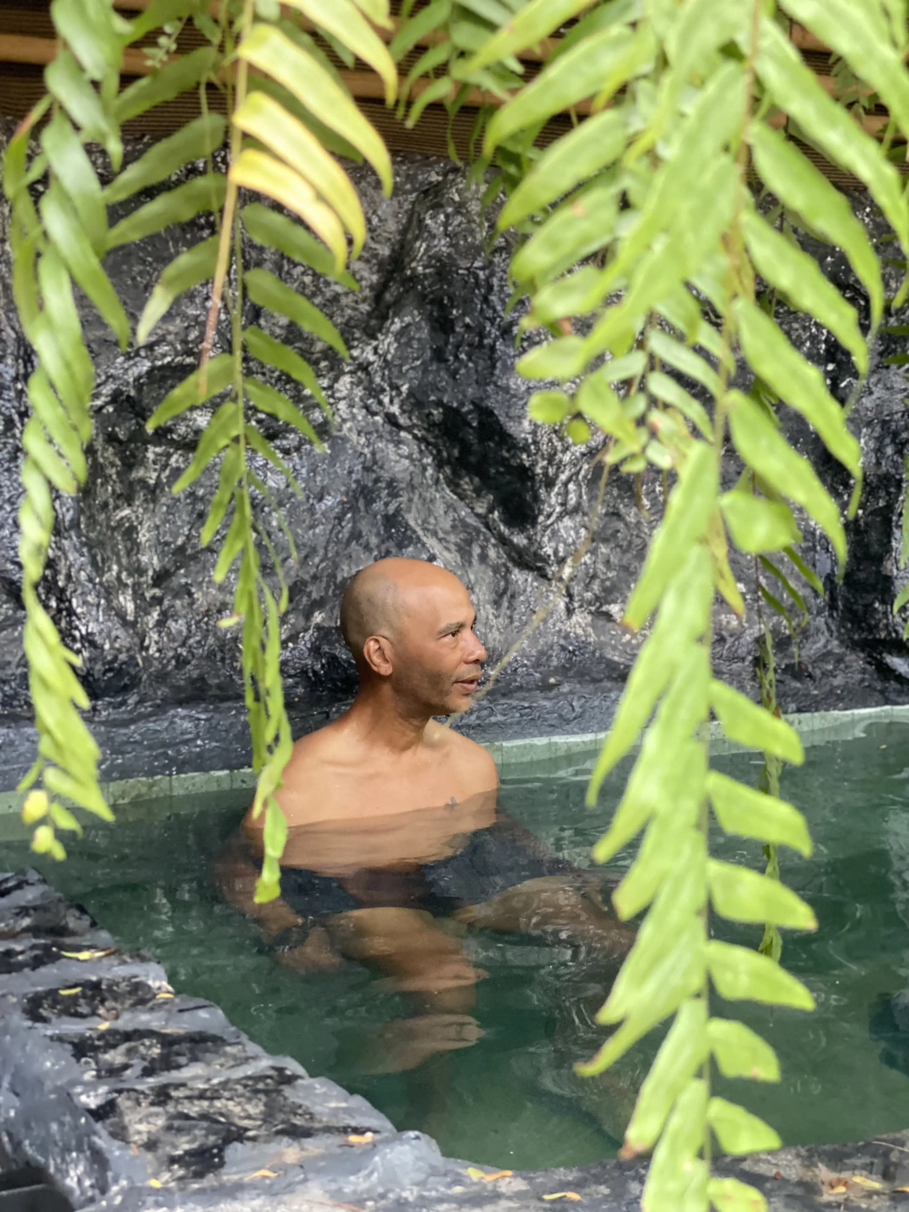 The ice bath at Zen Pod, framed by hanging ferns