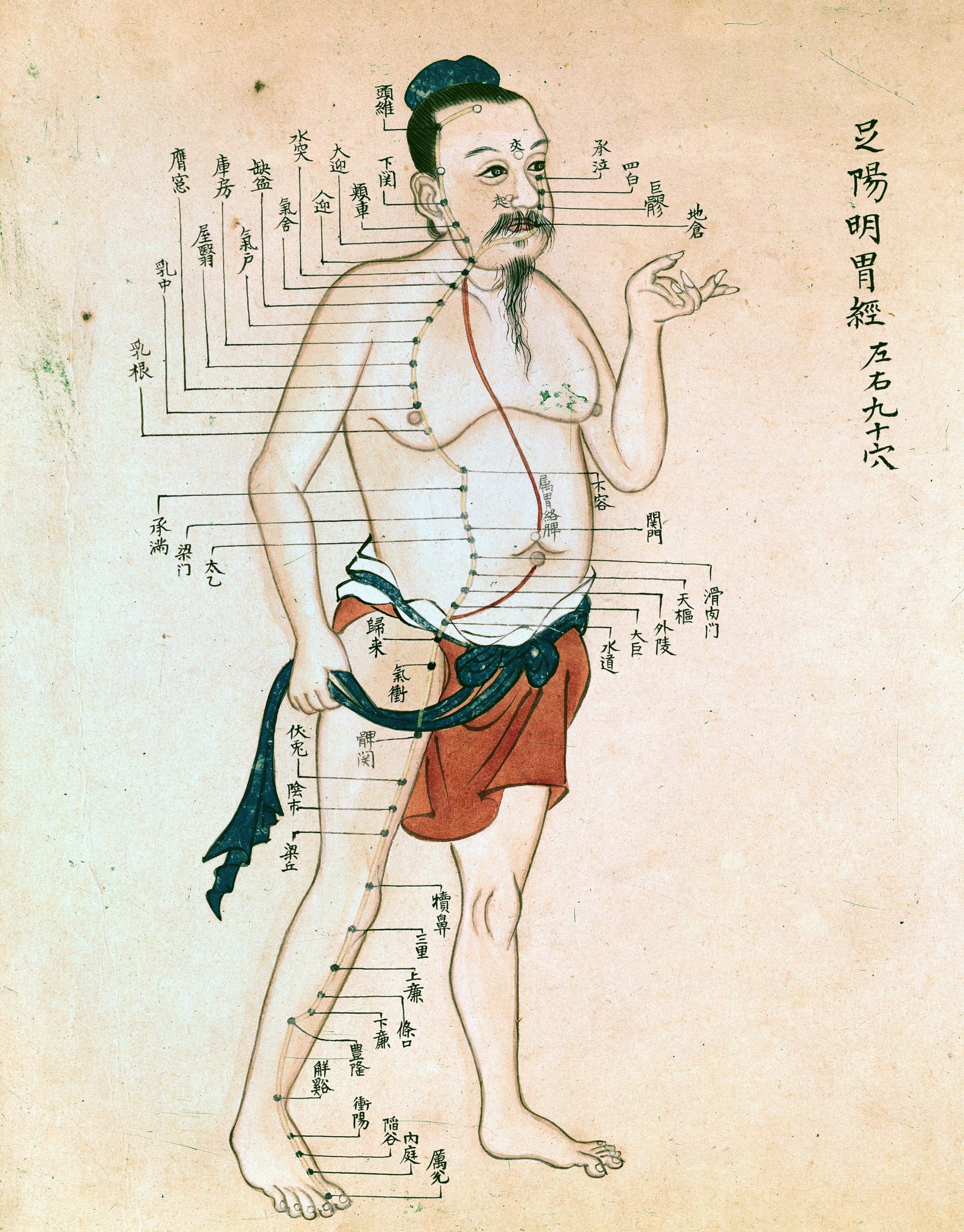 A later Chinese acupuncture meridian chart, Wellcome Collection