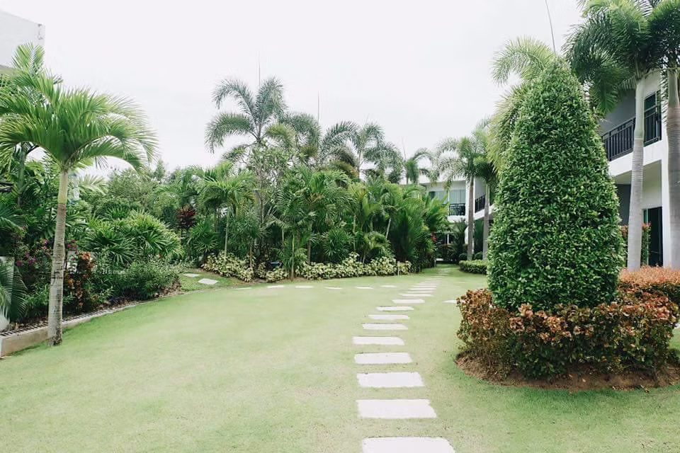 Serenity, Bang Saray